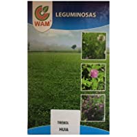 Semillas de TRÉBOL BLANCO HUIA WAM - 1 kg